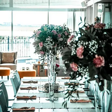 Splendor Бабиче Нове