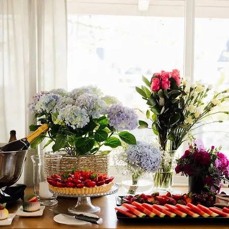 Splendor 4* Бабиче Нове