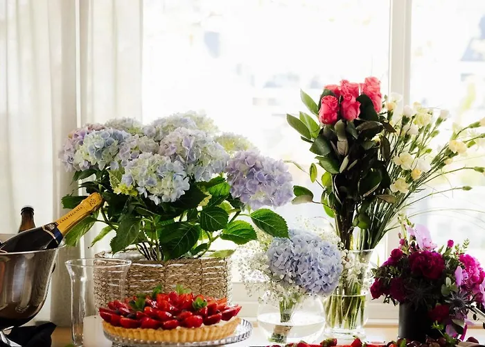 Splendor 4* Babice Nowe